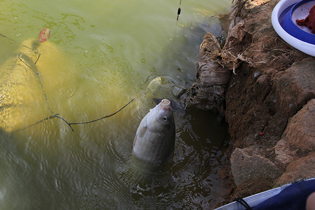 2019年希爾材料-部門團(tuán)建活動5